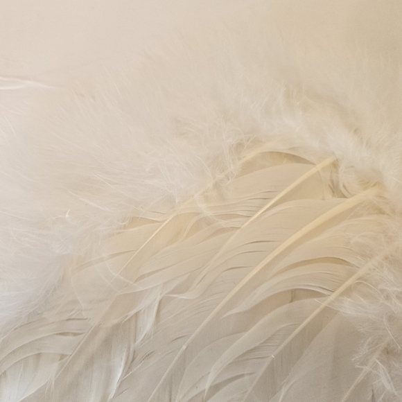 White feather wings - Picture 2 of 8
